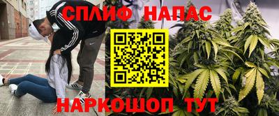 mdpv Краснодар