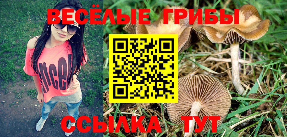 Кисловодск  Псилоцибиновые грибы мицелий  Вход с VPN 